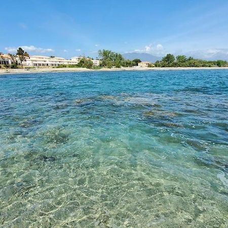 Marine De Bravone T2 Terrasse Front De Mer - Plage Pieds Dans L'Eau - Clim - Piscine - Wifi Linguizzetta Exterior foto