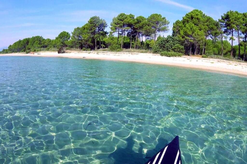 Marine De Bravone T2 Terrasse Front De Mer - Plage Pieds Dans L'Eau - Clim - Piscine - Wifi Linguizzetta Exterior foto