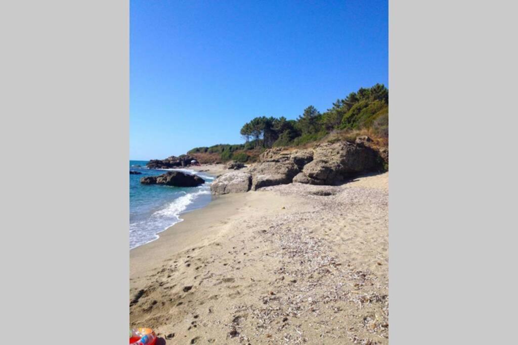 Marine De Bravone T2 Terrasse Front De Mer - Plage Pieds Dans L'Eau - Clim - Piscine - Wifi Linguizzetta Exterior foto