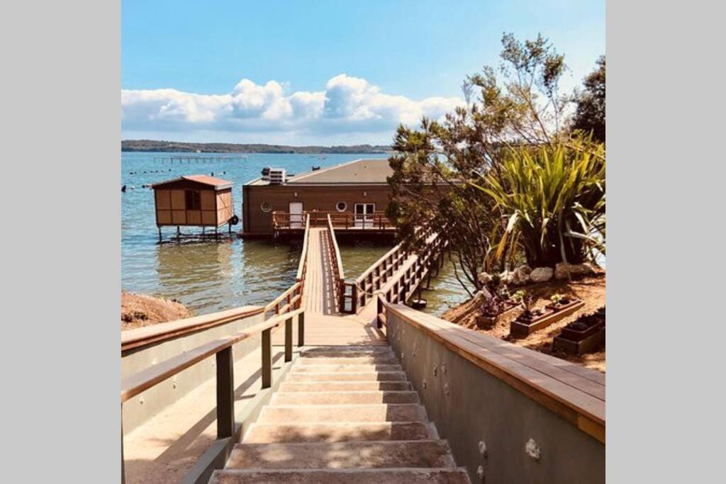 Marine De Bravone T2 Terrasse Front De Mer - Plage Pieds Dans L'Eau - Clim - Piscine - Wifi Linguizzetta Exterior foto
