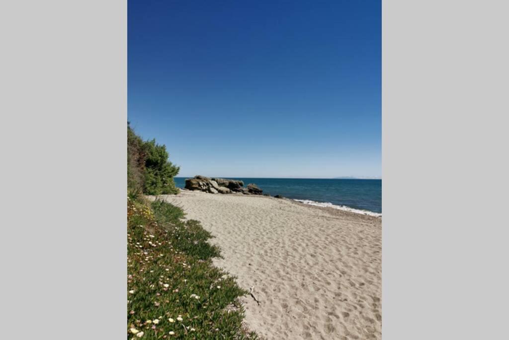 Marine De Bravone T2 Terrasse Front De Mer - Plage Pieds Dans L'Eau - Clim - Piscine - Wifi Linguizzetta Exterior foto