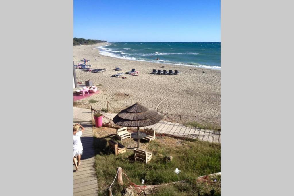Marine De Bravone T2 Terrasse Front De Mer - Plage Pieds Dans L'Eau - Clim - Piscine - Wifi Linguizzetta Exterior foto