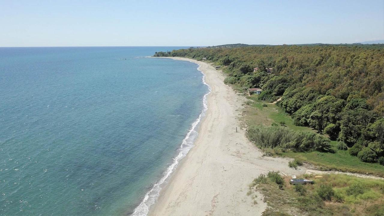 Marine De Bravone T2 Terrasse Front De Mer - Plage Pieds Dans L'Eau - Clim - Piscine - Wifi Linguizzetta Exterior foto