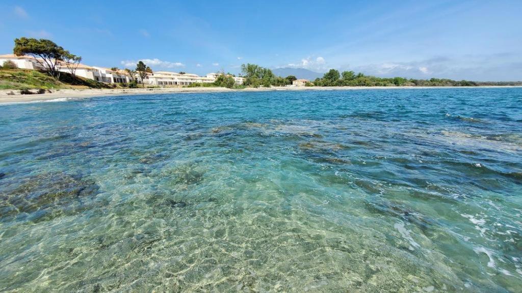 Marine De Bravone T2 Terrasse Front De Mer - Plage Pieds Dans L'Eau - Clim - Piscine - Wifi Linguizzetta Exterior foto
